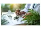 Marijuana Accounting