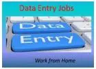 Data Entry and Typing Project Available 7708244092