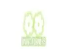 Same Day Flower Delivery Flemington - Living Flowers