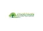 Mathias Precision Tree Service