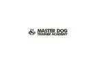 Best Dog Trainer Program in Midway City CA