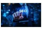Hire SEO Company in Delhi for Small Business Owners Today