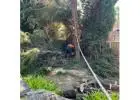 Best Tree Pruning service in Sheidow Park