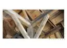 Best Building and Pest Pre Purchase Inspection in Charlestown