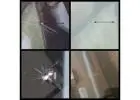 Windshield Repair Company in Edmonton