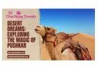 Desert Dreams: Exploring the Magic of Pushkar