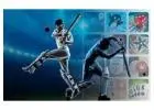 Free Betting Tips