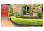 Best Hedging service in Nelson