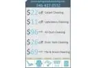 Spring Steam Carpet & Care