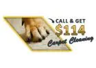 Carpet Cleaning Katy