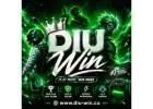 Beginner Tips and Features Available on DIU Win