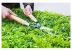 Best Hedge Trimming service in Langwarrin South