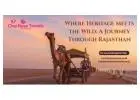 Where Heritage Meets the Wild: A Journey Through Rajasthan