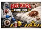 Affordable Bed Bug Control Service in Gurgaon with Guaranteed Results