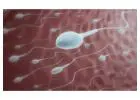 Low Sperm Motility: Why Sperm Don’t Swim Properly and What Can Help