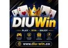 Best DIUWin Tips for Smooth Online Game