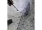 Best Residential Pest Control service in Canley Heights