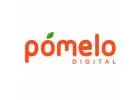 Top Creative Digital Marketing Agency in Gurgaon | Pomelo Digital