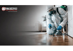 What Should You Know Before Hiring Pest Control Services in Columbus?