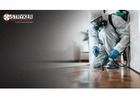What Should You Know Before Hiring Pest Control Services in Columbus?