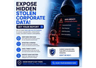 Expose Hidden Stolen Corporate Data! Get Your Report
