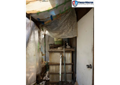 Safe & Effective Mold Remediation in Arlington