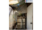 Safe & Effective Mold Remediation in Arlington
