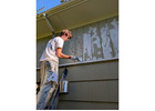 Professional Painting Contractors in Oak Bay, BC | University Student Painters
