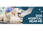 Dog Hospital Near Me  | CGS Hospital