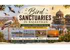 Bird Sanctuaries in Rajasthan: A Nature Lover's Guide
