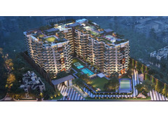 Flats In Delhi For Sale  | TARC