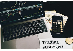 Stock Market Mentorship Program