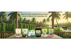 Buy Coconut milk powder online