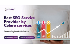 Best SEO Service Provider | Celere Services