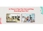 Cat Boarding Services | CGS Hospital