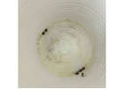 Say Goodbye to Dirty Tank Water! Call Clean Right Noida Today